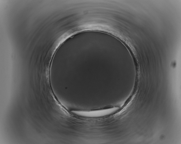X0000099291529200805090918