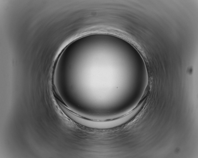 X0000099291530200805090918