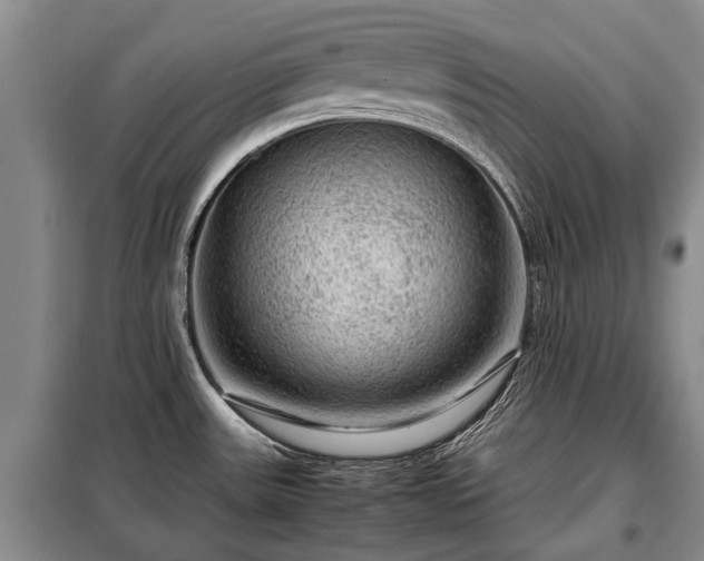 X0000099291531200805090918