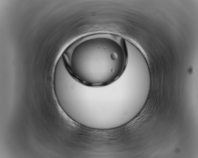 X0000099291532200805090918