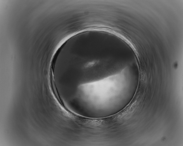 X0000099291533200805090918