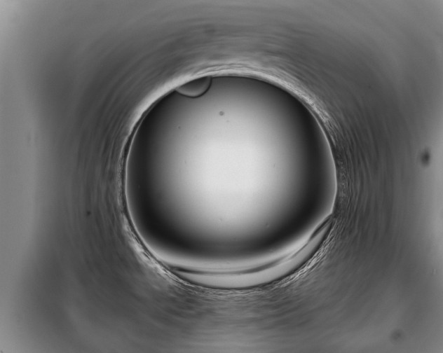 X0000099291534200805090918