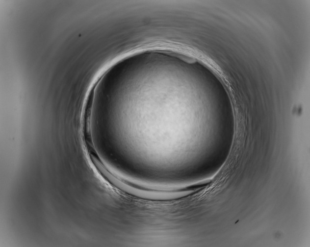 X0000099291536200805090918