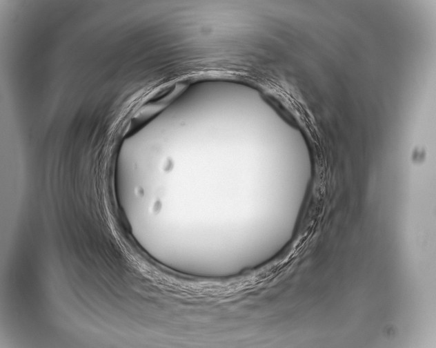 X0000099290001200805161336