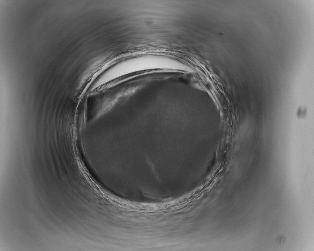 X0000099290002200805161336