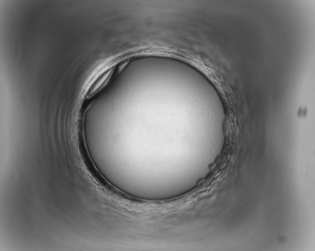 X0000099290007200805161336