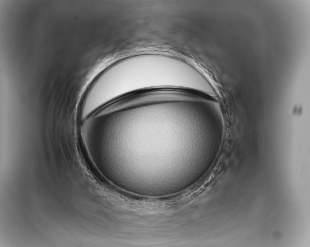 X0000099290008200805161336