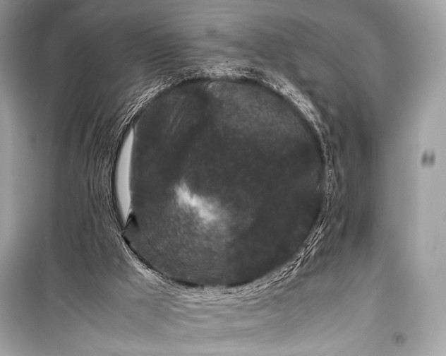 X0000099290009200805161336