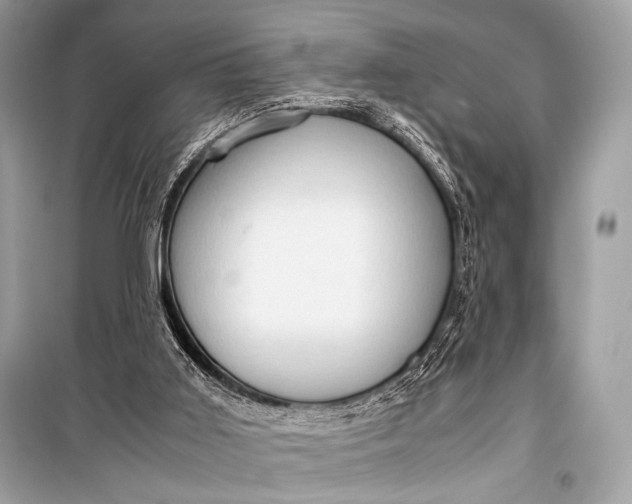 X0000099290011200805161336