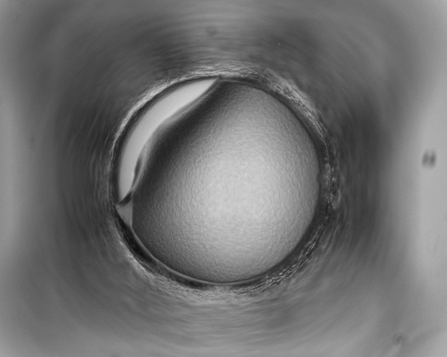 X0000099290012200805161336