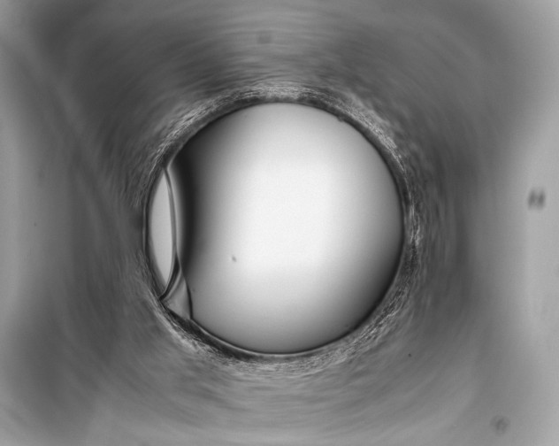 X0000099290013200805161336