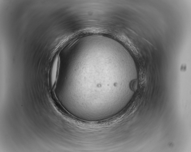 X0000099290014200805161336