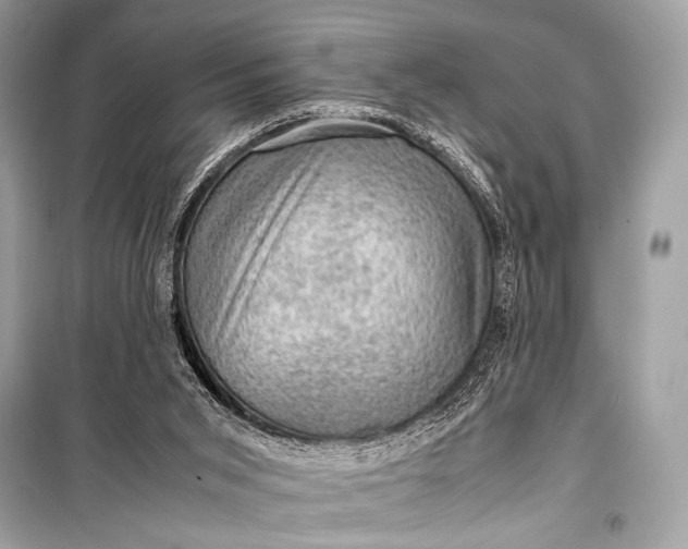 X0000099290015200805161336