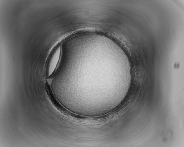 X0000099290016200805161336