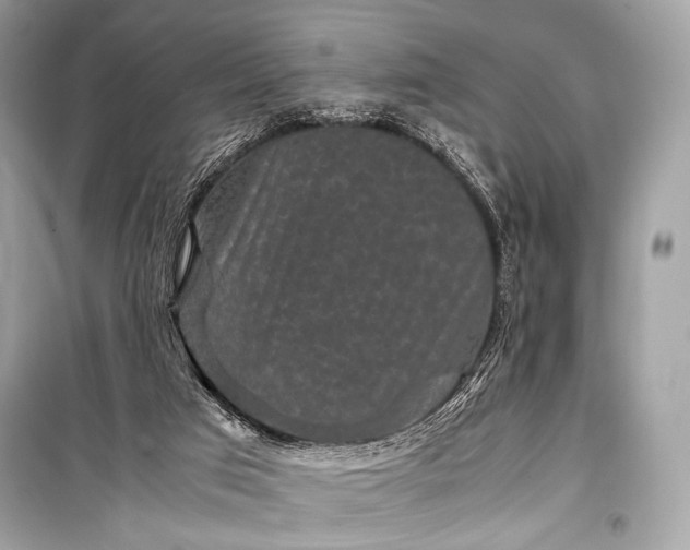 X0000099290017200805161336