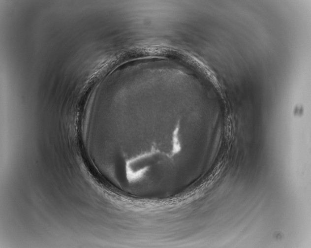 X0000099290018200805161336