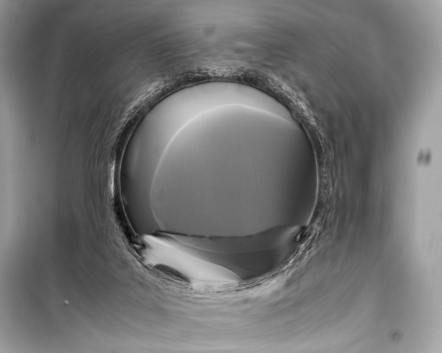 X0000099290019200805161336