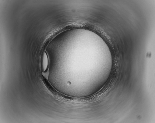 X0000099290020200805161336