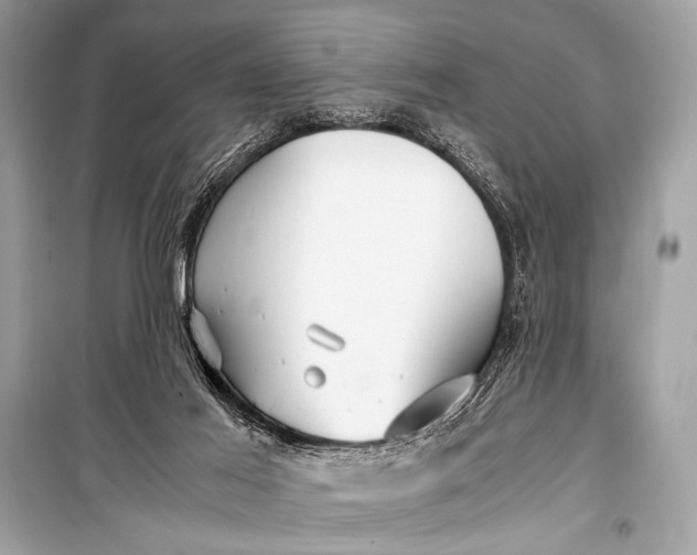 X0000099290021200805161336