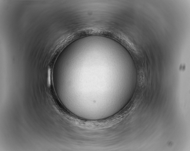 X0000099290022200805161336