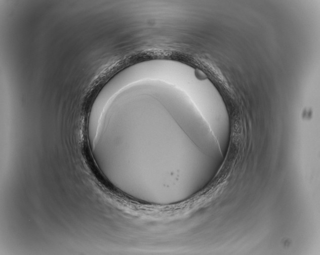 X0000099290023200805161336