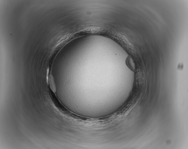 X0000099290024200805161336