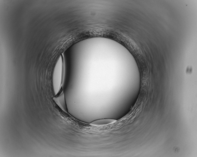 X0000099290025200805161336