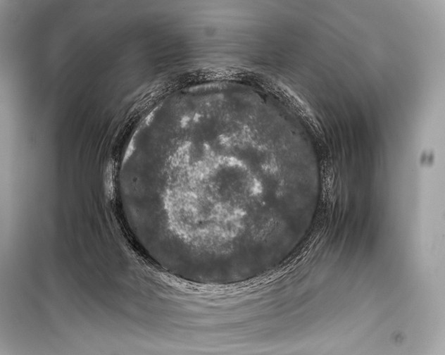 X0000099290026200805161336