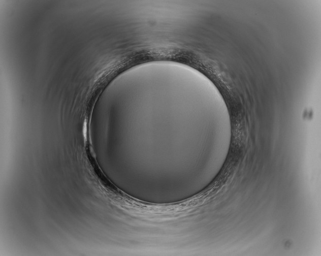 X0000099290027200805161336