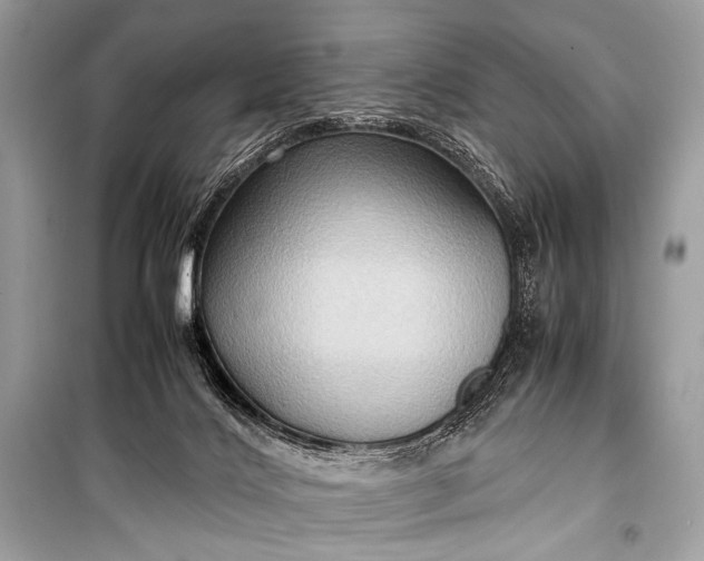 X0000099290028200805161336