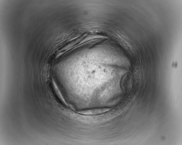 X0000099290030200805161336