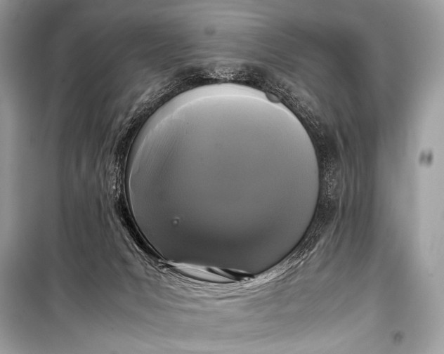 X0000099290031200805161336