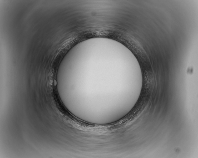 X0000099290032200805161336