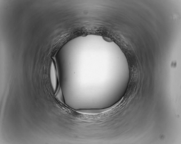 X0000099290033200805161336