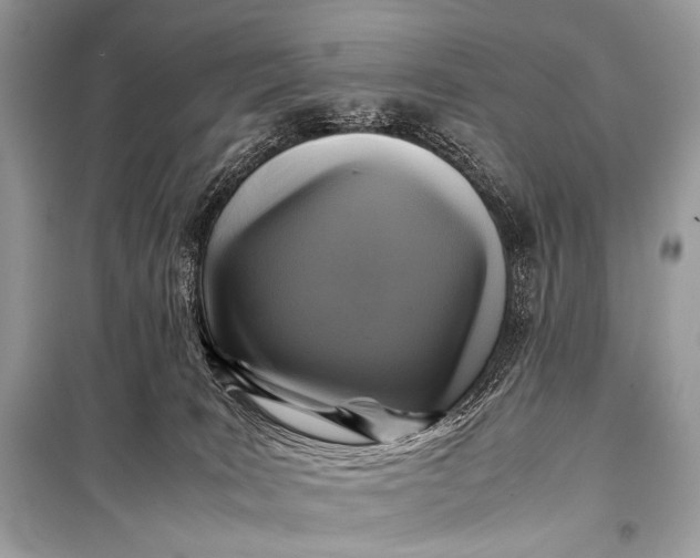 X0000099290035200805161336