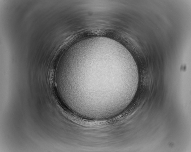 X0000099290036200805161336