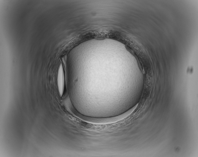 X0000099290037200805161336