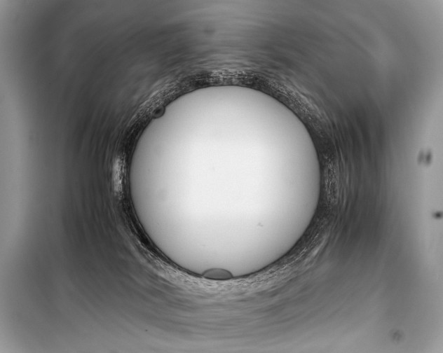 X0000099290038200805161336