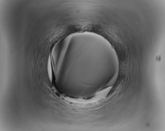 X0000099290039200805161336