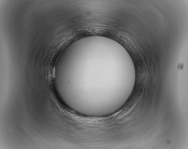 X0000099290040200805161336