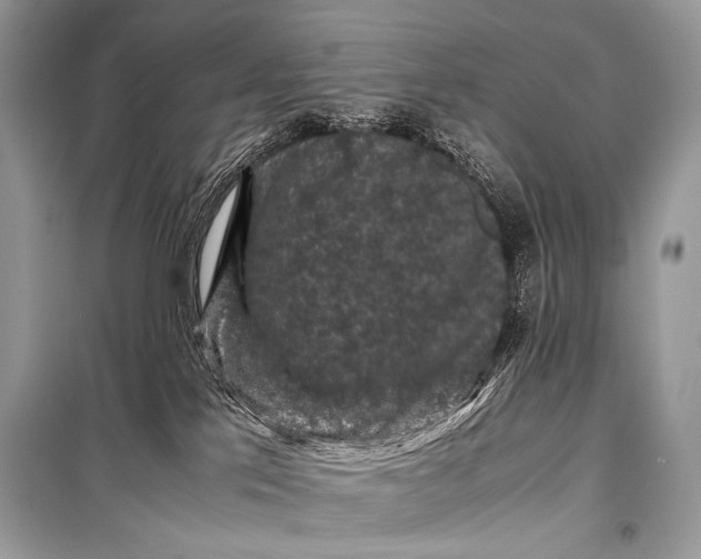 X0000099290041200805161336