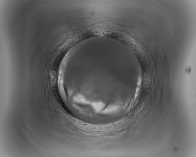 X0000099290043200805161336