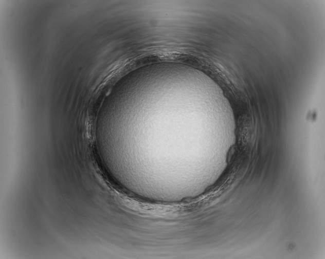 X0000099290044200805161336