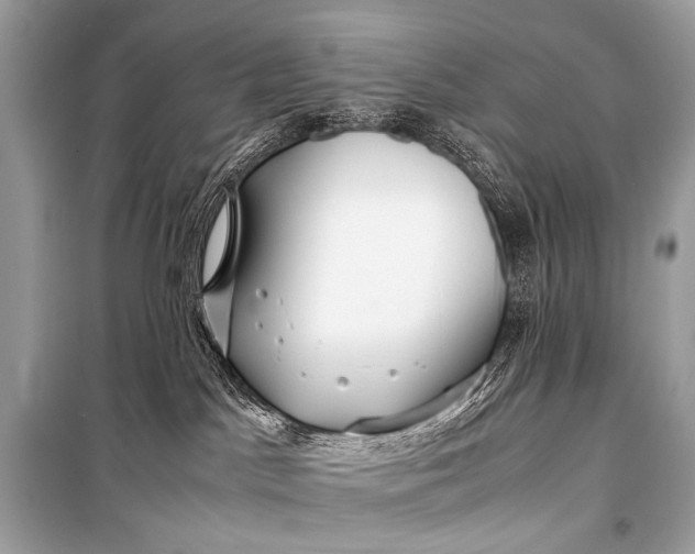 X0000099290045200805161336