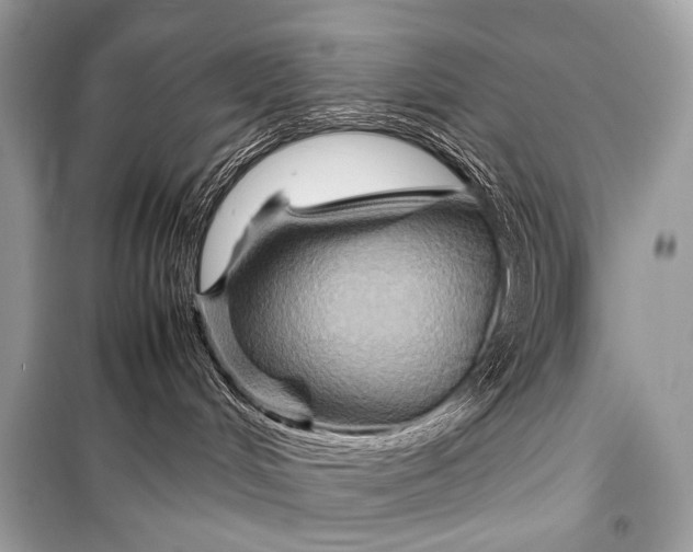 X0000099290048200805161336