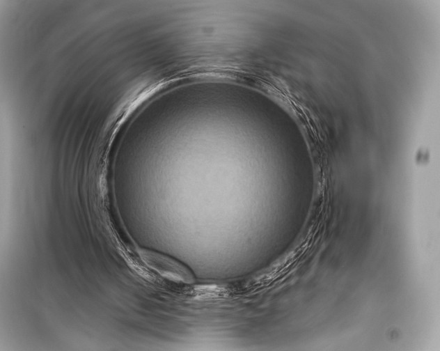 X0000099290050200805161335