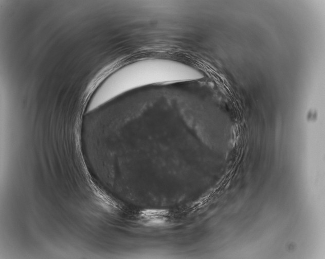 X0000099290051200805161335