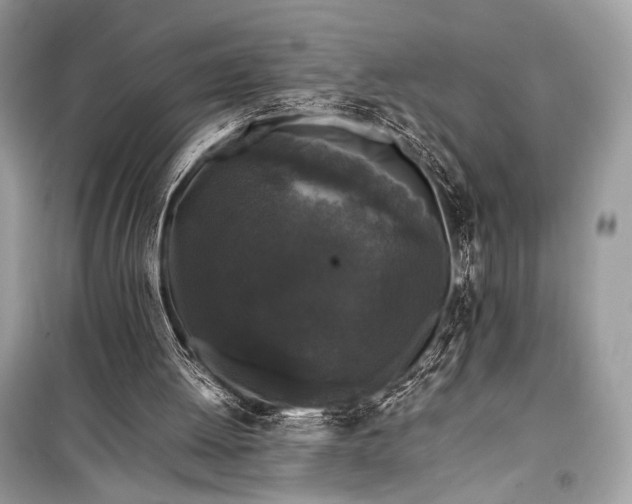 X0000099290052200805161335