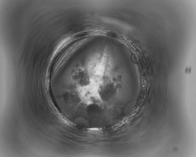 X0000099290053200805161335