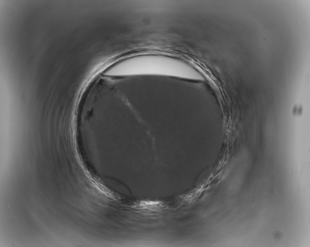 X0000099290055200805161335